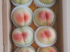 -老袁家蜜桃农场·阳山水蜜桃