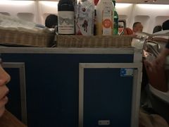 -西沃古尔·拉姆古兰爵士国际机场