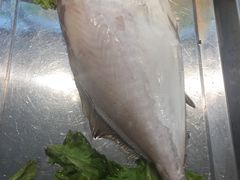 -韩记海鲜饺子旗舰店(红海新区店)
