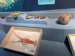 -浙江自然博物院(杭州馆)