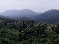 -海南霸王岭国家森林公园