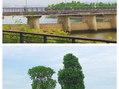 -深圳人才公园