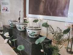 -日照人家·山东老字号