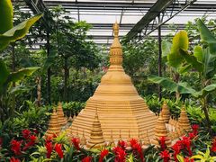 -南宫五洲植物乐园