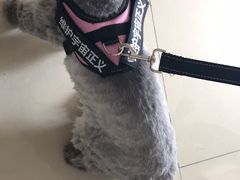 -e嘉宠物店(北大街店)