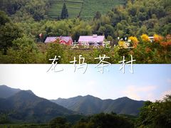 -龙坞茶村