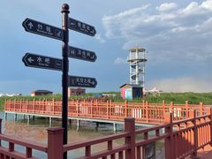 -乌梁素海景区