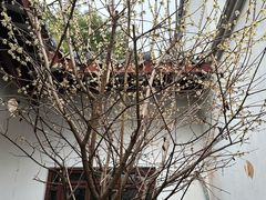 -岳麓书院