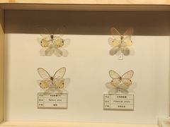 -四川宋瓷博物馆