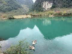 -靖西鹅泉风景区