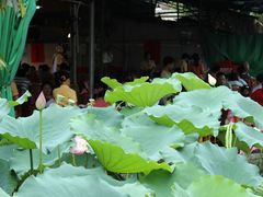IMG_3259-荷香居(洞企石路店)