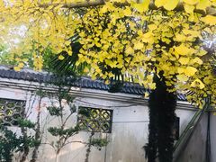 -龚家花园农家乐休闲别墅