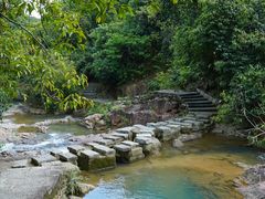 -广州白江湖森林公园