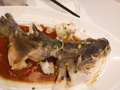 -眉州东坡(中日友好医院店)