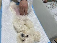 -宠颐生动物医院·小陆分院