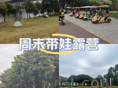 -佛山科学馆