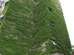 -上海财经大学(国定路校区)