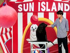 -太阳岛沙滩泳场水上乐园