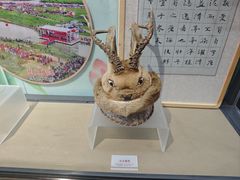 -齐齐哈尔市博物馆
