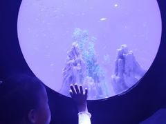 -烟台海昌鲸鲨海洋公园