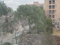-上海中兴和泰酒店(张江高科地铁站店)