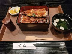-玄白·炭烤活鳗(上海首店)
