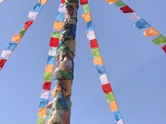 -武清南湖绿博园