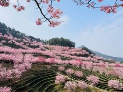 -梅州天地人花园酒店(梅县人民广场店)