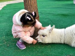 -萌宠亲子动物乐园(槐房万达店)