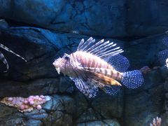 -成都浩海立方海洋公园