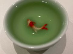 -松鹤楼·非遗·苏帮菜(融科店)