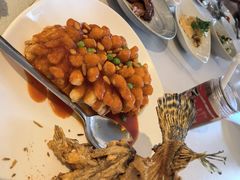-上海和平饭店龙凤厅 Dragon Phoenix