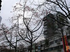 街景-南雄雄州土菜餐厅(粤北大厦店)