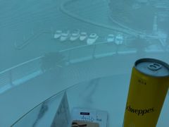 -苏州金鸡湖中茵皇冠假日酒店