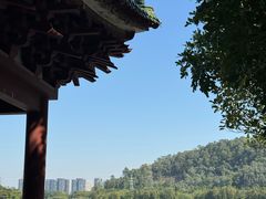 -顺峰山公园