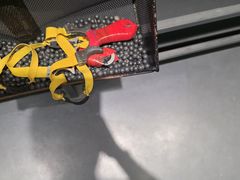 -极限PLAY运动娱乐新世界·团建派对潮玩休闲馆·室内蹦极高空游乐园