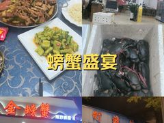 -金螃蟹