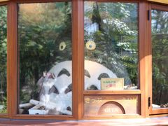 -三鹰之森吉卜力美术馆