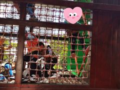 -中国福利会少年宫