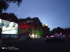 -枫花园汽车电影院(朝阳公园店)