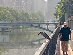 -上海市徐汇区口腔医院