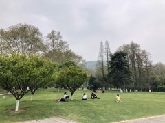 -习家池