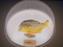 -陕西自然博物馆