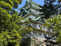 -名古屋城