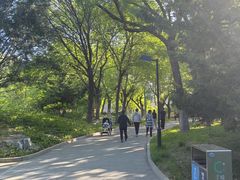 -丰台花园