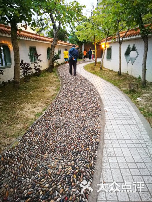 花城公园-图片-澳门景点玩乐-大众点评网