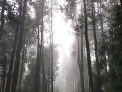 -苍山感通索道