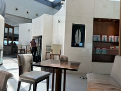 -虹桥机场国航贵宾室v8