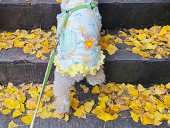 -金堂县云顶石城风景区