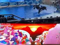 -上海海昌海洋公园